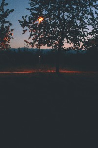 img_2292.jpg